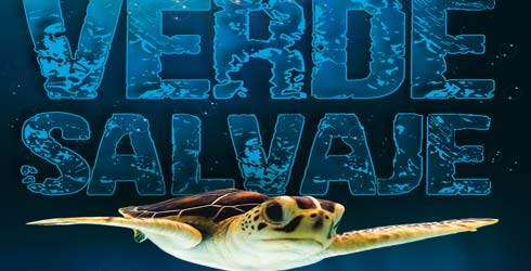 Estrenos en Venezuela: Un documental sobre naturaleza hecho en Venezuela y drama deportivo con Kevin Cotsner