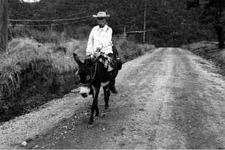 El viol�n (Cine e Insurgencia)