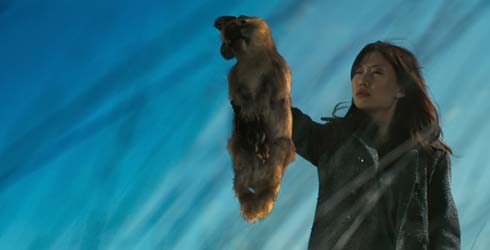 Estrenos en Venezuela: Conejos mutantes carn�voros, romance oto�al y Nicolas Cage �otra vez! buscando venganza