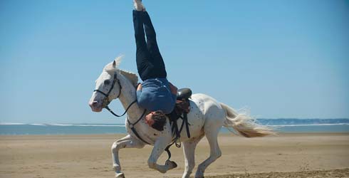 Estrenos en Francia: �En �quilibre�: Denis Dercourt, de la meloman�a al melodrama