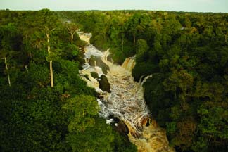 rase una vez un bosque (ECO-Film COP 21 Pars) 