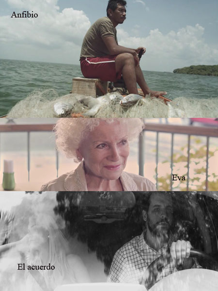 Palmar�s del concurso A CORTO PLAZO 2016