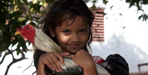 ESTRENOS EN VENEZUELA: Llaner�as con un Bambi C4 al ritmo espa�ol