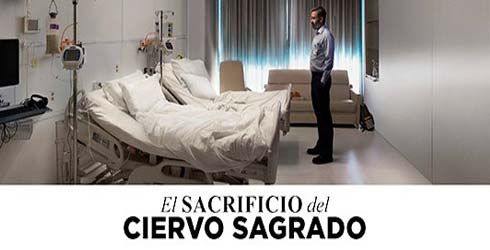 ESTRENOS EN VENEZUELA: Lara Croft sacrifica por igual a un conejo animado y a un ciervo sagrado