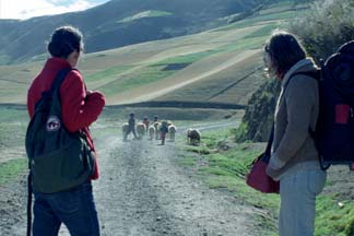 Qu tan lejos (Cine de Ecuador - Gran Cine Mvil) 
