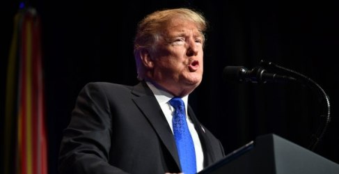 Premios Razzies 2019: Y los nominados a lo peor del cine son...