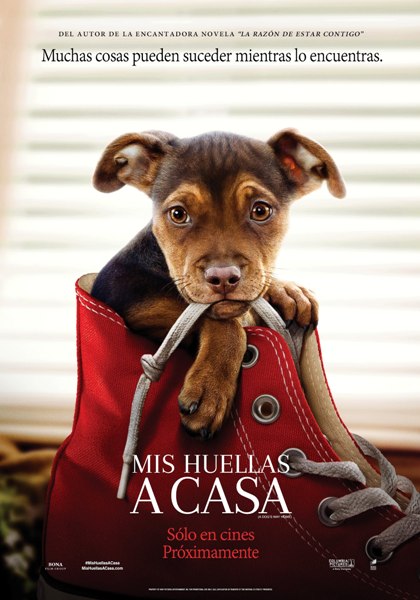 ESTRENOS EN VENEZUELA: Kidman es una destructora y un perrito quiere volver a casa