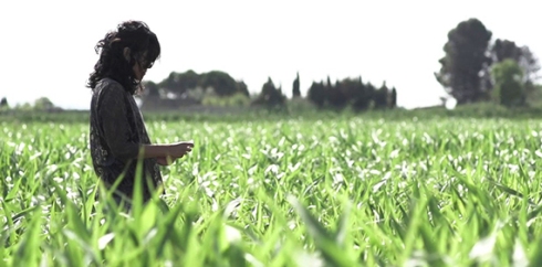 \'La Asfixia\', \'Un Traductor\' y \'Benzinho\', en el palmar�s final de Panam�