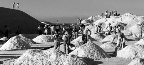 Se celebran los 60 a�os de �Araya�