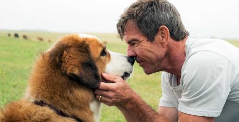 ESTRENOS EN VENEZUELA: Variedad de g�neros