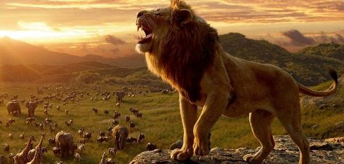 ESTRENOS EN VENEZUELA: El rey le�n rugir� por encima de las canciones de Jaramillo