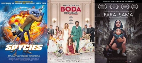 ESTRENOS EN M�XICO: Organizando estrenos, bodas y jirafas