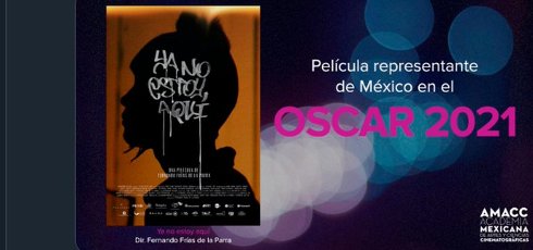 Reacciones ante la elecci�n de la pel�cula  representante de M�xico a los Oscar