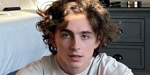 Estelares: Los nuevos proyectos de Timoth�e Chalamet, Lindsay Lohan y Joseph Gordon Levitt