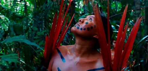 Cert�menes: Brasile�a 'A �ltima floresta' premiada en Berl�n, Deepa Mehta en Valladolid, Cine de Acci�n en l�nea