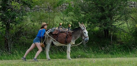 'Vacaciones contigo... y tu mujer' (36º Festival Cine Francés 2022)