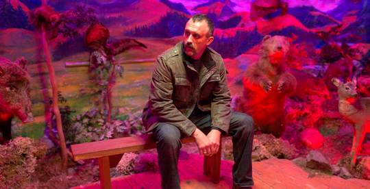 Pamfir (Cinecelarg3)