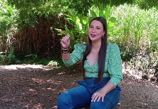 Más allá del voto (Fábrica de Cine 7)