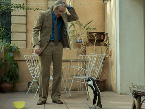 Lecciones de un ping�ino 