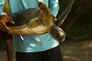 D�a Internacional de las Playas (Cine �vila L�der)