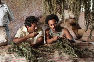 P�jaros de verano (Cine Colombiano en Cine �vila L�der)