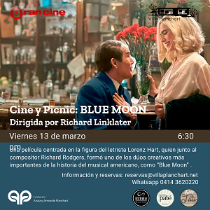 Luna azul - Villa Planchart