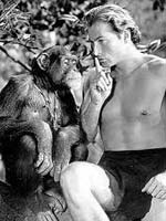 Falleci� la mona Chita, la divertida compa�era de Tarz�n