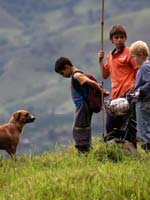 La secci�n de Nuevos Directores de San Sebasti�n estrenar� seis pel�culas iberoamericanas