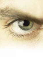 Abierta convocatoria I Muestra del Cortometraje Venezolano FEC 2009