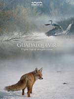 Estrenos en Espa�a