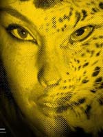 Pel�culas de Espa�a, Chile, Guatemala, M�xico, Brasil y Portugal, seleccionadas para Locarno