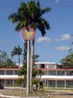 CNAC abri Convocatoria 2008 para becas en San Antonio de Los Baos