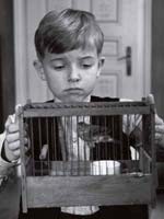 Estrenos � Francia