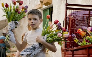 Tulipani (Gran Cine Mvil - Festival Cine Reino de los Pases Bajos)