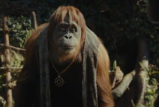 El planeta de los simios: Nuevo reino