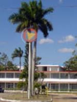 CNAC abrió Convocatoria 2008 para becas en San Antonio de Los Baños